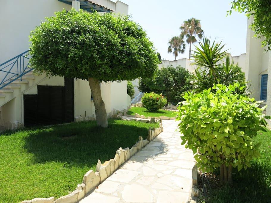 Ferienwohnung Dhekelia Diamond Larnaka Exterior foto